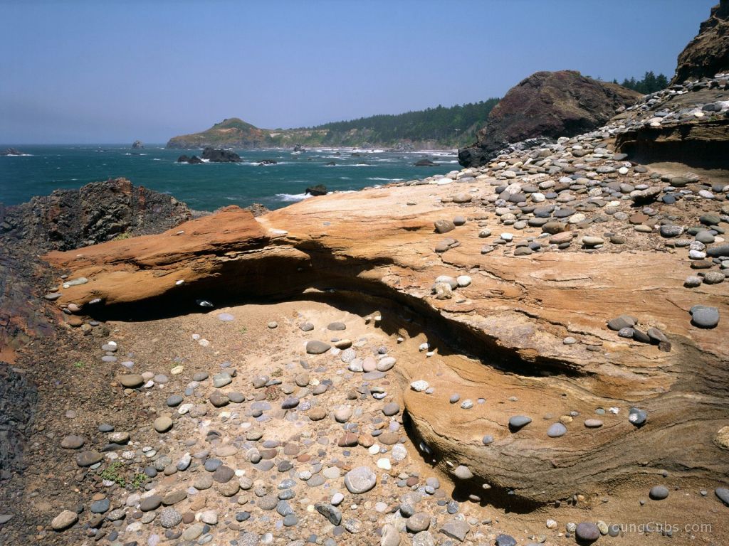 Sandstone Erosion, Otter Point State Wayside, Oregon